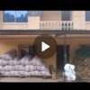 Vivienda